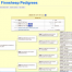 Thumbnail image for Finnsheep Breeders Assocation