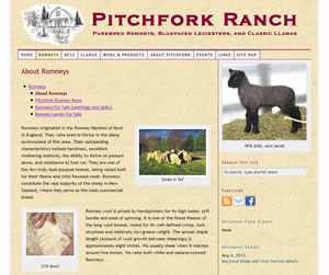 Pitchfork Ranch