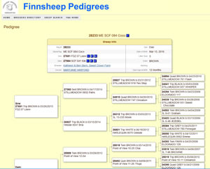 Finnsheep Breeders Assocation Finnsheep Breeders Assocation